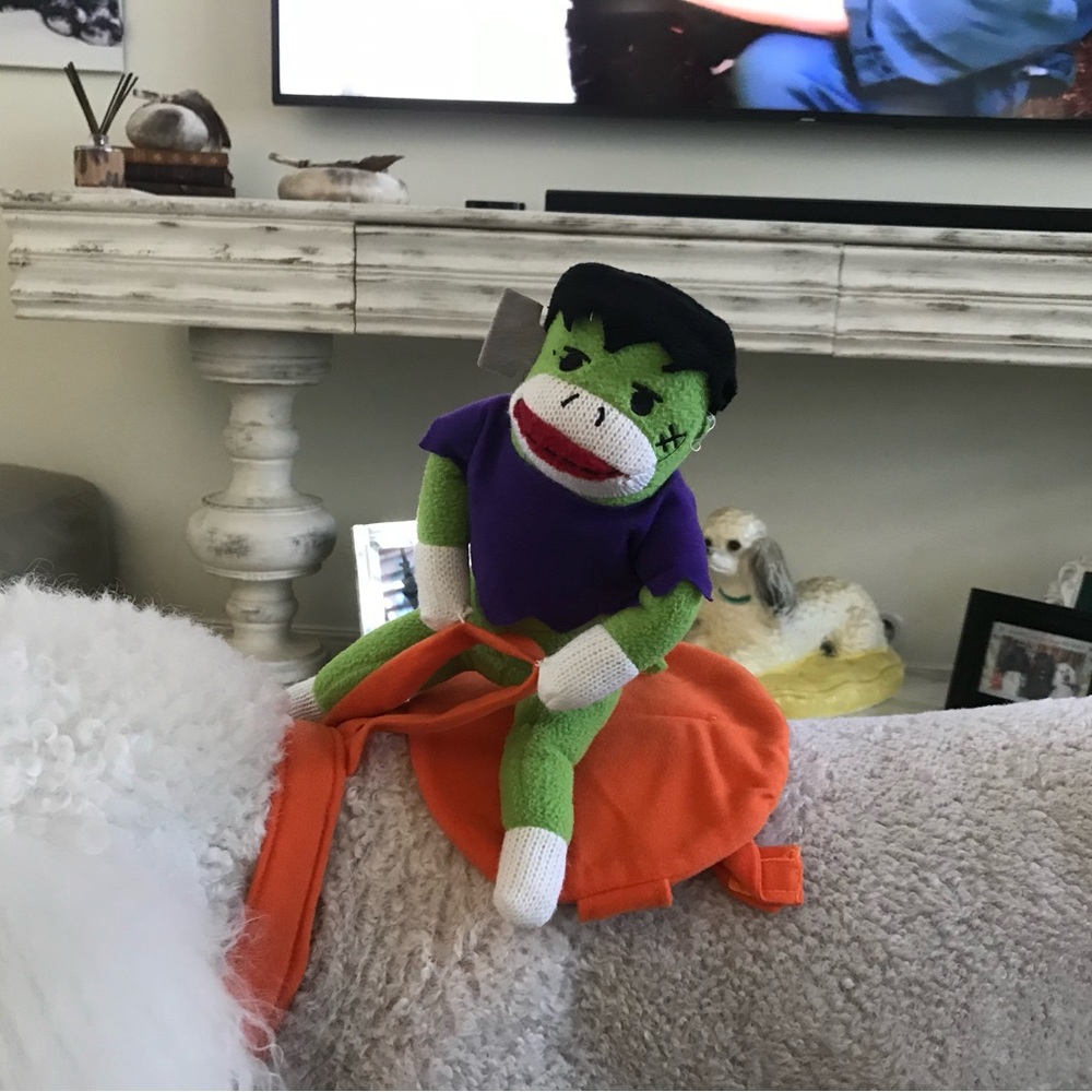 Dog costume
